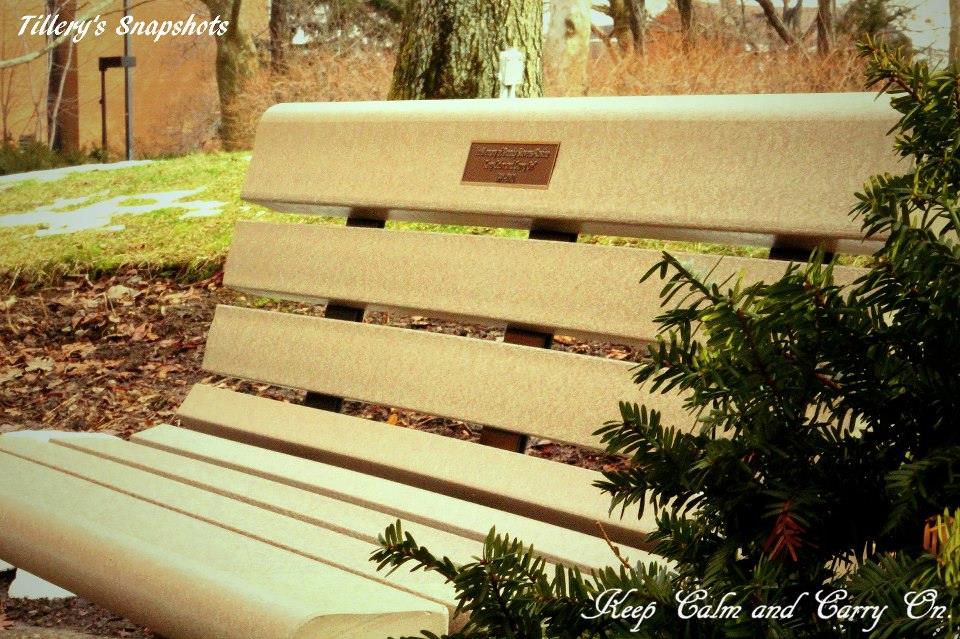 Brandy's memorial bench at Youngstown State University