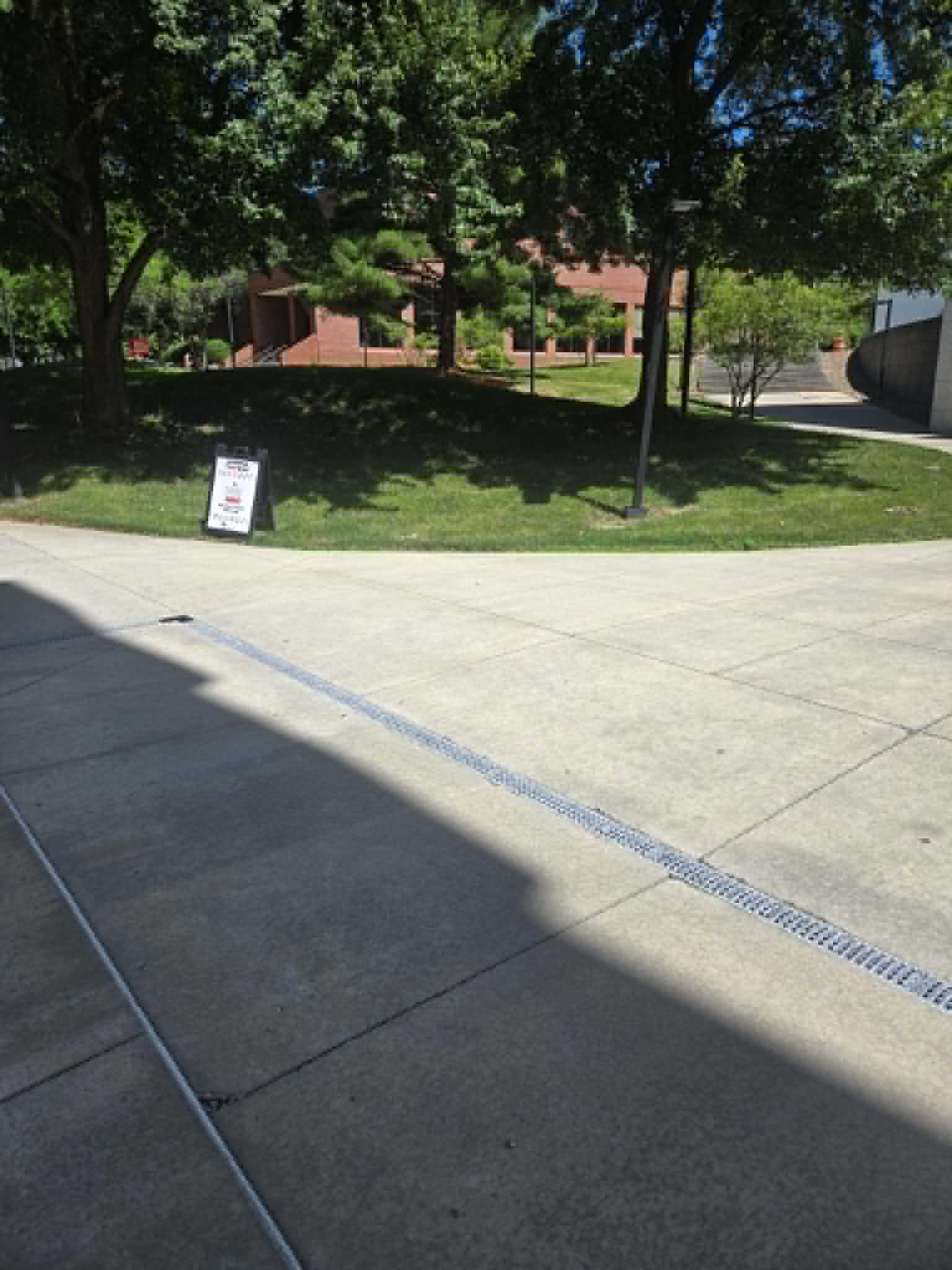 The lawn between Maag Library and the Butler Institute of American Art, the bench's temporary location
